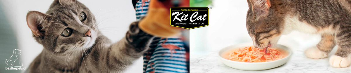Kit Cat | Alimentación Húmeda Premium para Gatos Exigentes